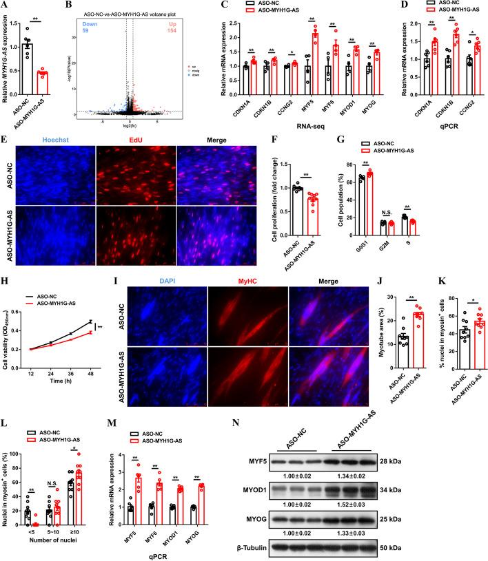 https://cdn.ncbi.nlm.nih.gov/pmc/blobs/a39e/10765903/6ed165a7cc9e/11658_2023_525_Fig4_HTML.jpg