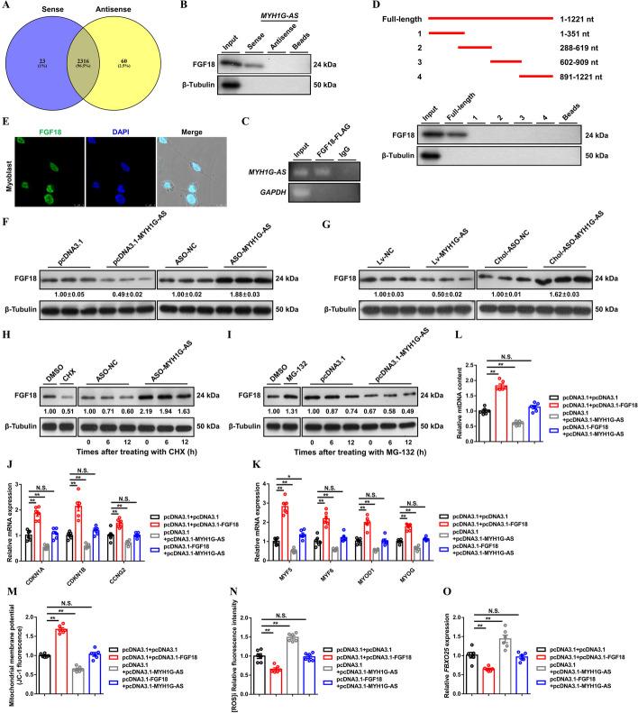 https://cdn.ncbi.nlm.nih.gov/pmc/blobs/a39e/10765903/b0217a2e3f22/11658_2023_525_Fig6_HTML.jpg