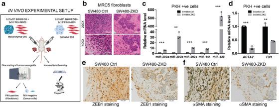 https://cdn.ncbi.nlm.nih.gov/pmc/blobs/a39f/9122835/9e03745f3364/JEV2-11-e12226-g001.jpg