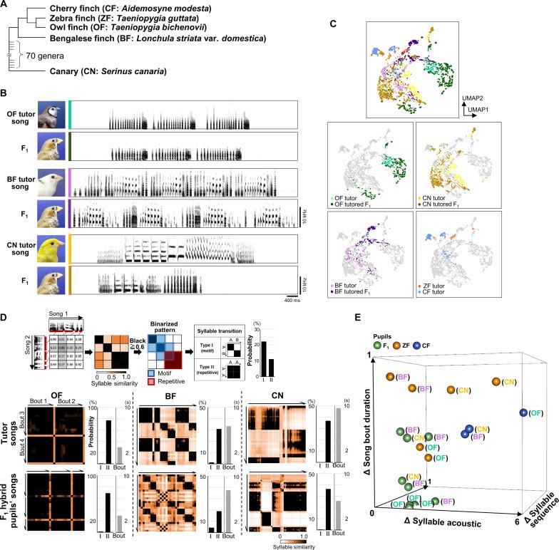 https://cdn.ncbi.nlm.nih.gov/pmc/blobs/a3a4/11186503/a1f7474a8c1a/sciadv.adn3409-f3.jpg