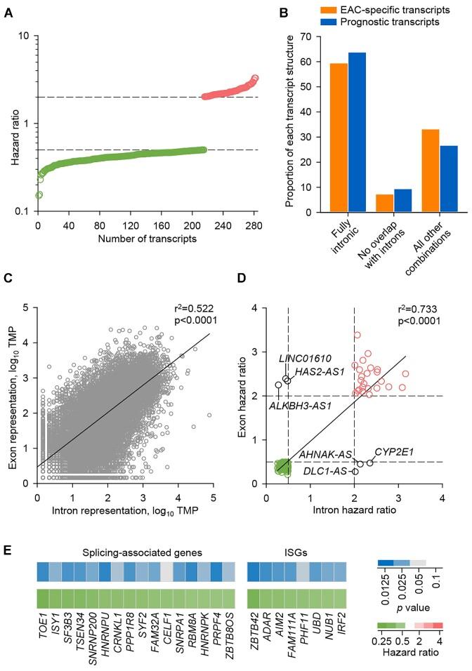 https://cdn.ncbi.nlm.nih.gov/pmc/blobs/a3a6/10370457/43f053308c8d/zcad040fig4.jpg