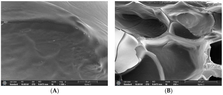 https://cdn.ncbi.nlm.nih.gov/pmc/blobs/a3a6/10535267/9051c6c2c201/polymers-15-03659-g004.jpg