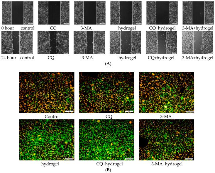 https://cdn.ncbi.nlm.nih.gov/pmc/blobs/a3a6/10535267/b4a9d676d6c2/polymers-15-03659-g010.jpg