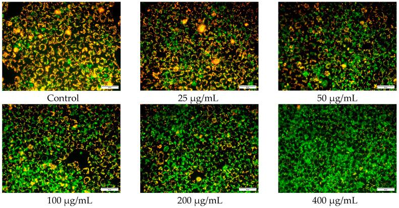 https://cdn.ncbi.nlm.nih.gov/pmc/blobs/a3a6/10535267/c9f6e2899520/polymers-15-03659-g009.jpg
