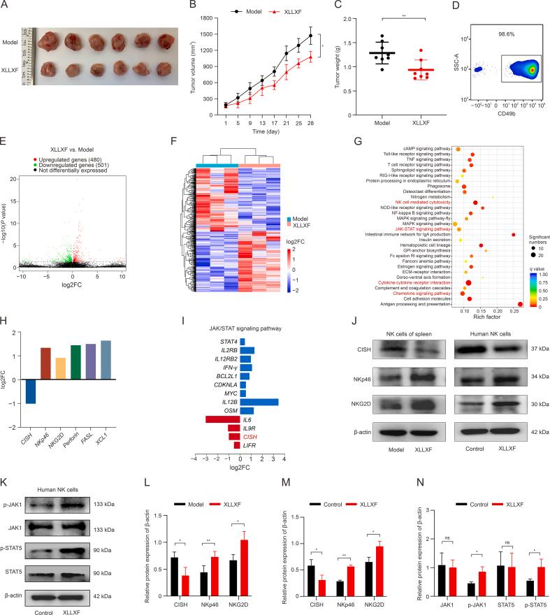 https://cdn.ncbi.nlm.nih.gov/pmc/blobs/a3a7/11531627/28c85e05e3ff/gr7.jpg