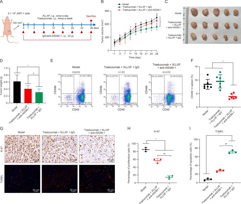 https://cdn.ncbi.nlm.nih.gov/pmc/blobs/a3a7/11531627/4ae54c46eb2f/gr4.jpg