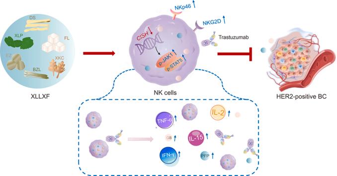 https://cdn.ncbi.nlm.nih.gov/pmc/blobs/a3a7/11531627/a3519de7d18c/ga1.jpg