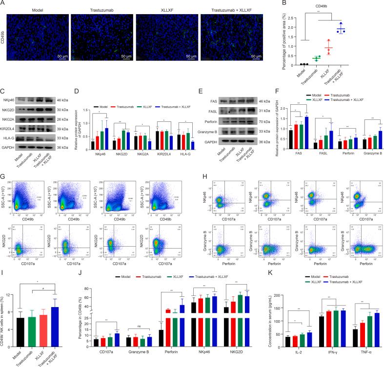 https://cdn.ncbi.nlm.nih.gov/pmc/blobs/a3a7/11531627/ce1c3def99f1/gr3.jpg