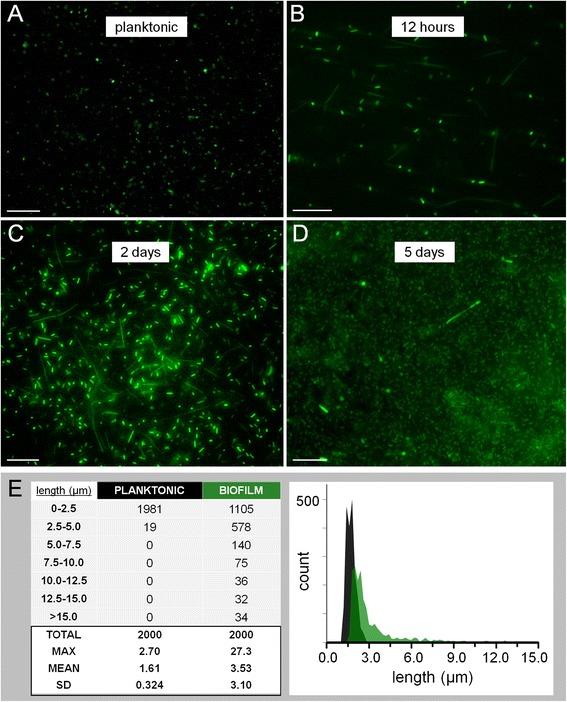 https://cdn.ncbi.nlm.nih.gov/pmc/blobs/a3ab/4180959/f457ff234999/12915_2014_65_Fig3_HTML.jpg