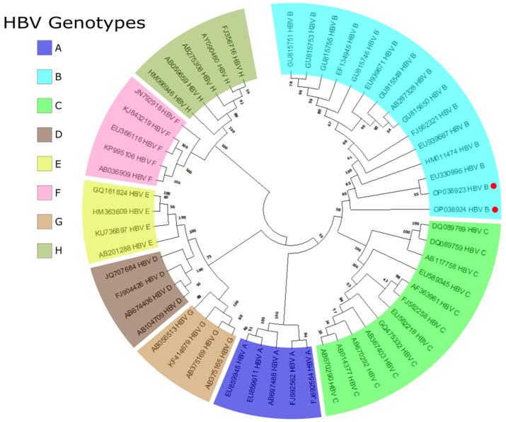 https://cdn.ncbi.nlm.nih.gov/pmc/blobs/a3ad/9786887/c7d9f88f014b/pathogens-11-01524-g003.jpg