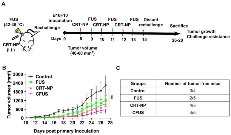 https://cdn.ncbi.nlm.nih.gov/pmc/blobs/a3ae/7069083/2c1f76a0ebc9/thnov10p3397g004.jpg
