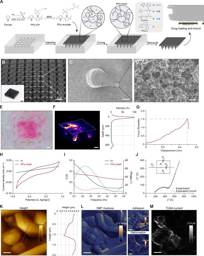 https://cdn.ncbi.nlm.nih.gov/pmc/blobs/a3b0/11062583/19edcbe6ba28/sciadv.adj0604-f3.jpg