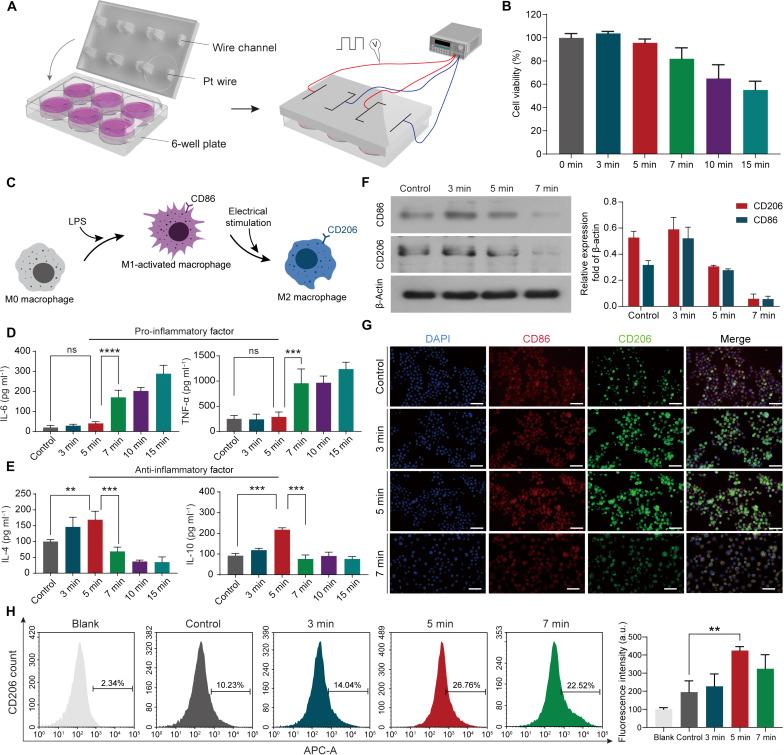 https://cdn.ncbi.nlm.nih.gov/pmc/blobs/a3b0/11062583/3bd854860ada/sciadv.adj0604-f5.jpg