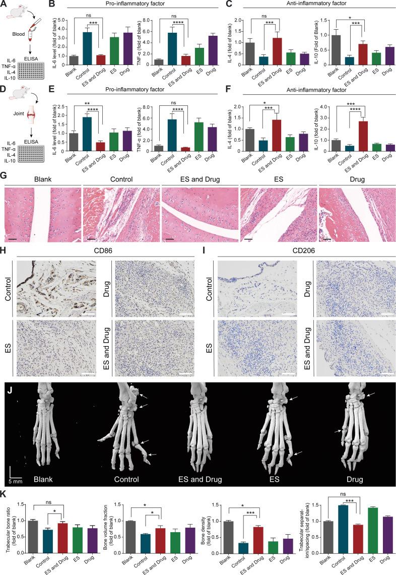 https://cdn.ncbi.nlm.nih.gov/pmc/blobs/a3b0/11062583/9b02806262f1/sciadv.adj0604-f8.jpg