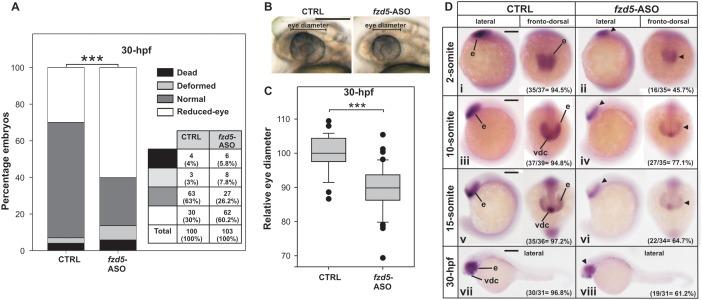 https://cdn.ncbi.nlm.nih.gov/pmc/blobs/a3b1/4872077/11998d54b501/gkw011fig6.jpg
