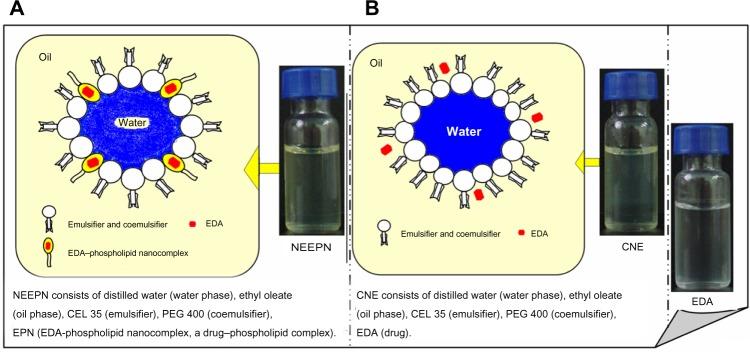 https://cdn.ncbi.nlm.nih.gov/pmc/blobs/a3b3/4172252/cf668e83cfce/ijn-9-4411Fig1.jpg