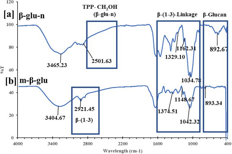 https://cdn.ncbi.nlm.nih.gov/pmc/blobs/a3b5/12343568/fdcd2bdda71d/fpls-16-1611582-g002.jpg