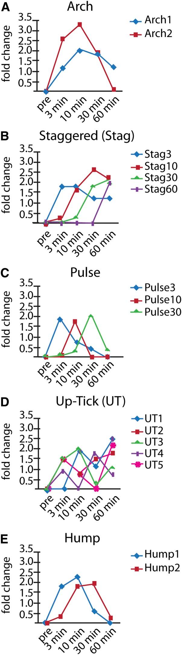 https://cdn.ncbi.nlm.nih.gov/pmc/blobs/a3b6/3689809/036d58d25d30/979f2.jpg