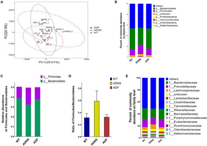 https://cdn.ncbi.nlm.nih.gov/pmc/blobs/a3b8/8551711/1c551f45b561/fnagi-13-755164-g0003.jpg