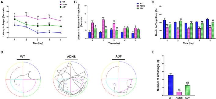 https://cdn.ncbi.nlm.nih.gov/pmc/blobs/a3b8/8551711/ef842a290a4d/fnagi-13-755164-g0001.jpg