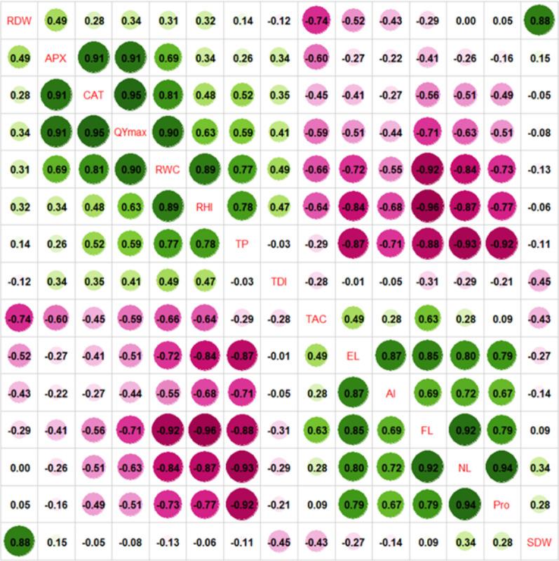 https://cdn.ncbi.nlm.nih.gov/pmc/blobs/a3bc/12403318/dc63acac1261/12870_2025_7247_Fig4_HTML.jpg