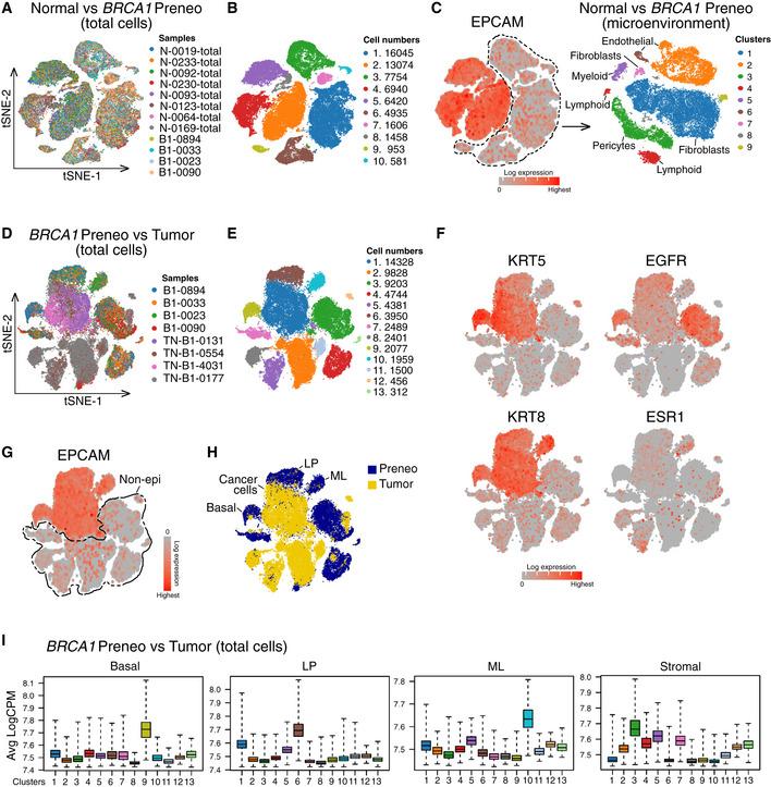 https://cdn.ncbi.nlm.nih.gov/pmc/blobs/a3bd/8167363/be2ea03707a6/EMBJ-40-e107333-g001.jpg