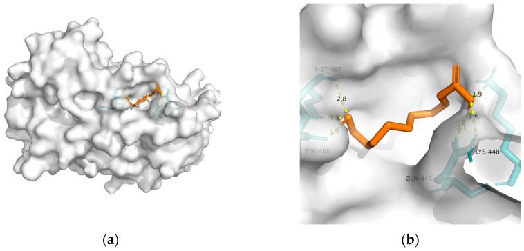 https://cdn.ncbi.nlm.nih.gov/pmc/blobs/a3bf/10456792/47f2f1f52a69/metabolites-13-00954-g004.jpg