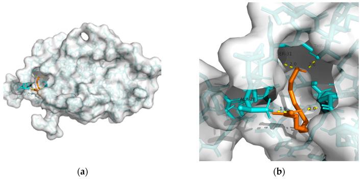 https://cdn.ncbi.nlm.nih.gov/pmc/blobs/a3bf/10456792/8842b9fd78ee/metabolites-13-00954-g002.jpg