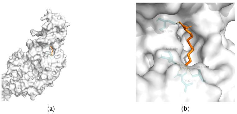 https://cdn.ncbi.nlm.nih.gov/pmc/blobs/a3bf/10456792/a12017b9b916/metabolites-13-00954-g006.jpg