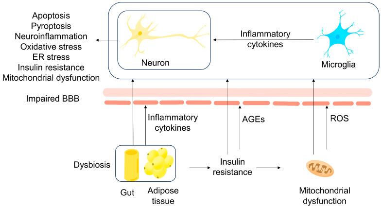 https://cdn.ncbi.nlm.nih.gov/pmc/blobs/a3bf/10456792/c7844bffff2f/metabolites-13-00954-g001.jpg