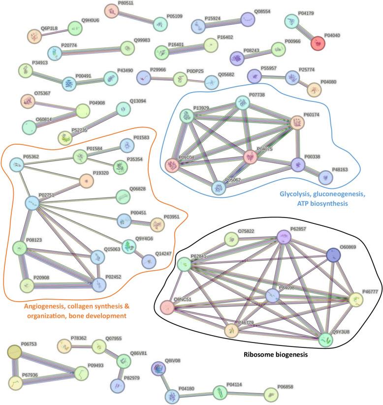 https://cdn.ncbi.nlm.nih.gov/pmc/blobs/a3c0/11982442/3cf3f32b347d/41598_2025_96632_Fig5_HTML.jpg
