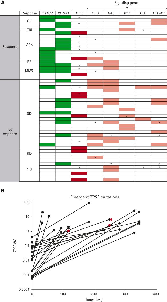 https://cdn.ncbi.nlm.nih.gov/pmc/blobs/a3c1/10651777/efe482a16ba3/BLOOD_BLD-2022-016362-gr4.jpg
