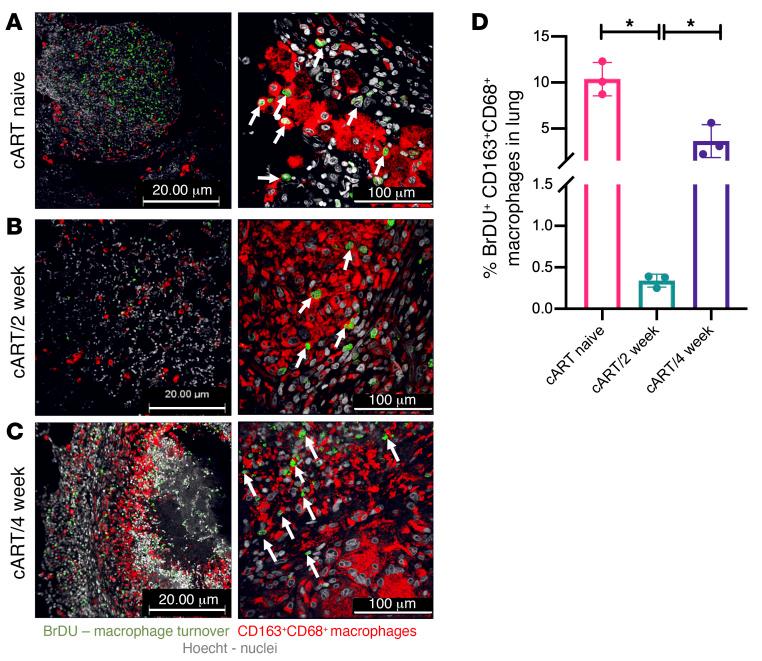 https://cdn.ncbi.nlm.nih.gov/pmc/blobs/a3c2/8803324/1043c7b84f92/jci-132-153090-g076.jpg