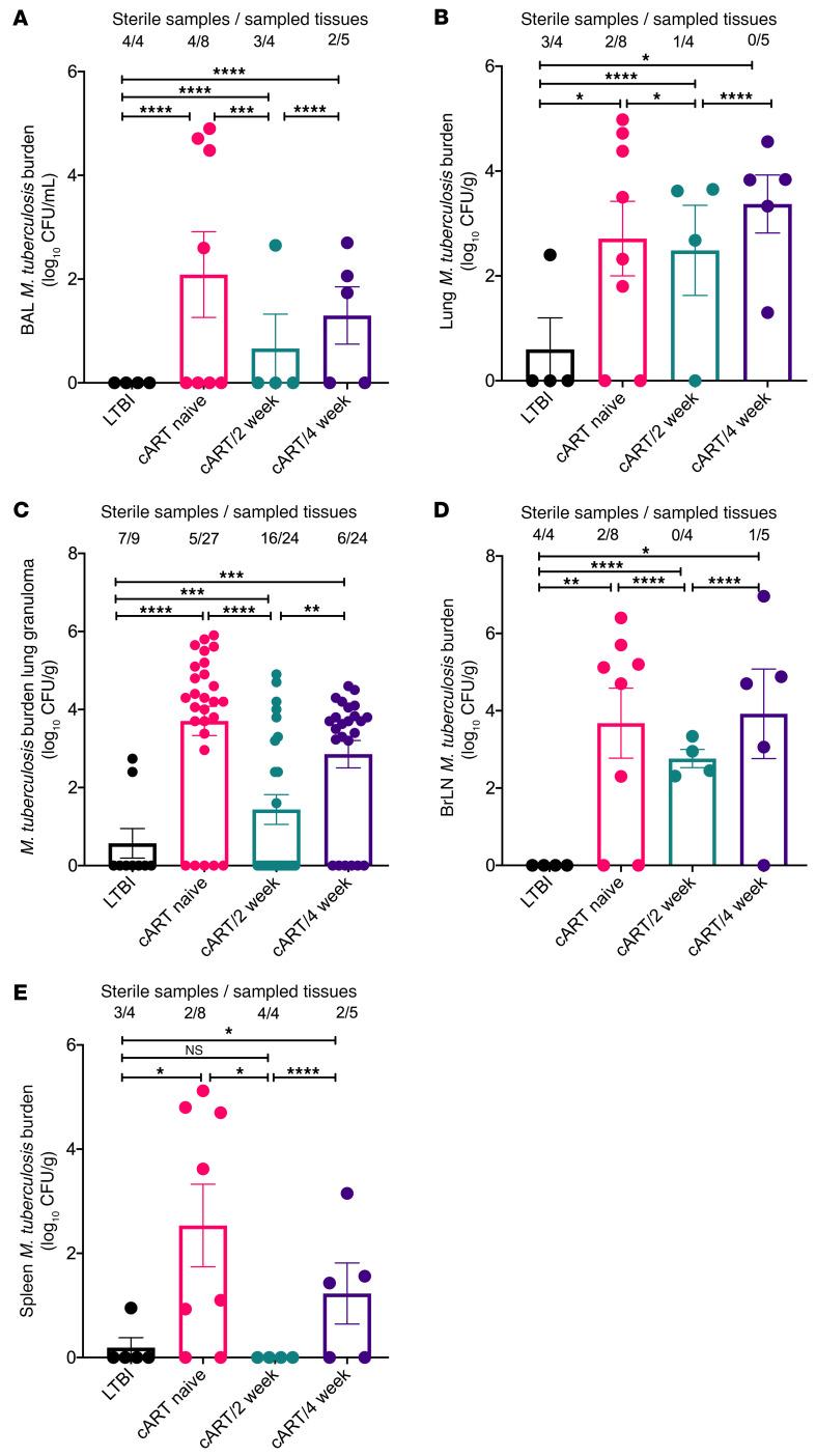 https://cdn.ncbi.nlm.nih.gov/pmc/blobs/a3c2/8803324/ecca6e7ae8b1/jci-132-153090-g072.jpg