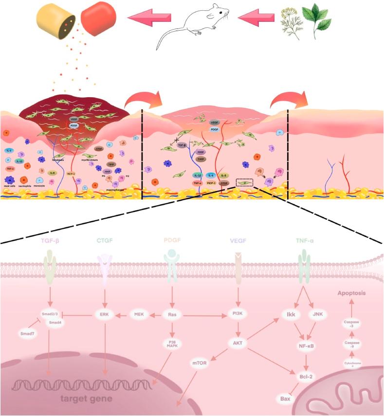 https://cdn.ncbi.nlm.nih.gov/pmc/blobs/a3c3/11408005/9a4e342005de/gr2.jpg