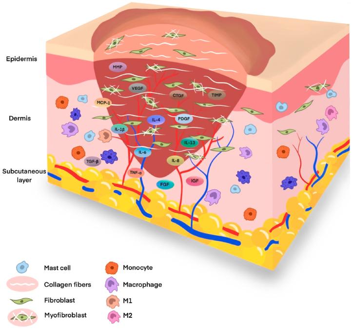 https://cdn.ncbi.nlm.nih.gov/pmc/blobs/a3c3/11408005/c4279899a919/gr1.jpg