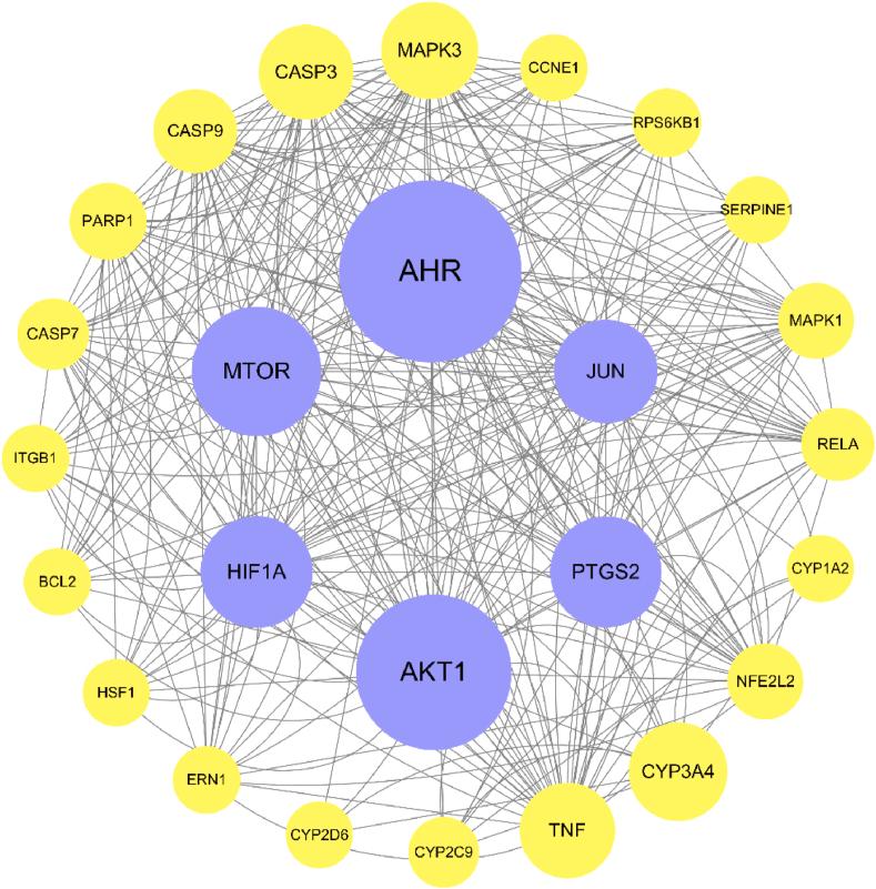 https://cdn.ncbi.nlm.nih.gov/pmc/blobs/a3c3/11408005/d596e180f32e/gr5.jpg