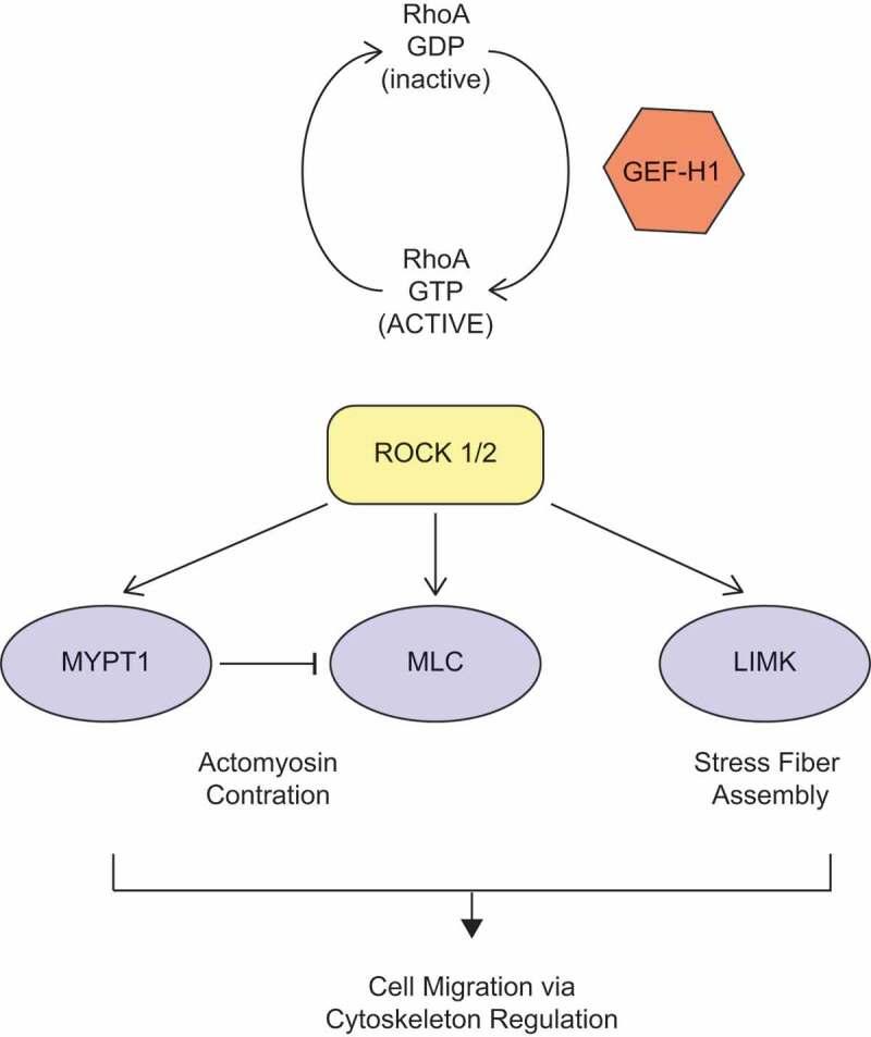 https://cdn.ncbi.nlm.nih.gov/pmc/blobs/a3c3/8583009/310782429087/KSGT_A_1840889_F0001_OC.jpg