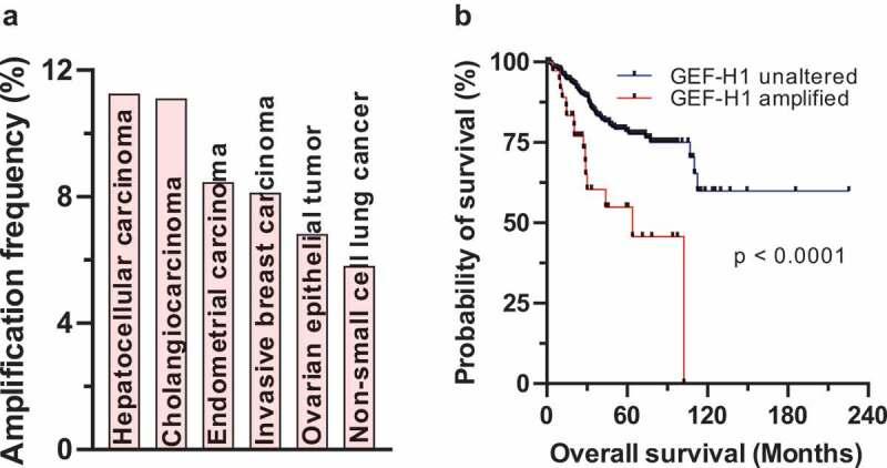 https://cdn.ncbi.nlm.nih.gov/pmc/blobs/a3c3/8583009/aab08b49be79/KSGT_A_1840889_F0004_OC.jpg