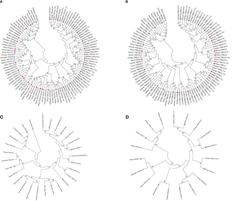 https://cdn.ncbi.nlm.nih.gov/pmc/blobs/a3c4/8514952/07e837f08cd1/fimmu-12-741408-g005.jpg