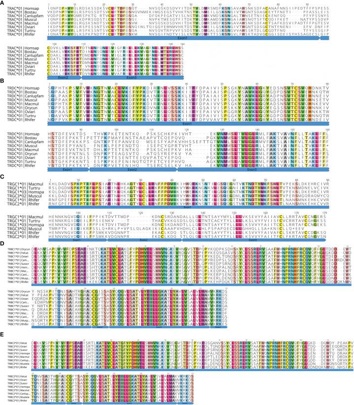 https://cdn.ncbi.nlm.nih.gov/pmc/blobs/a3c4/8514952/1e3a710a127d/fimmu-12-741408-g008.jpg