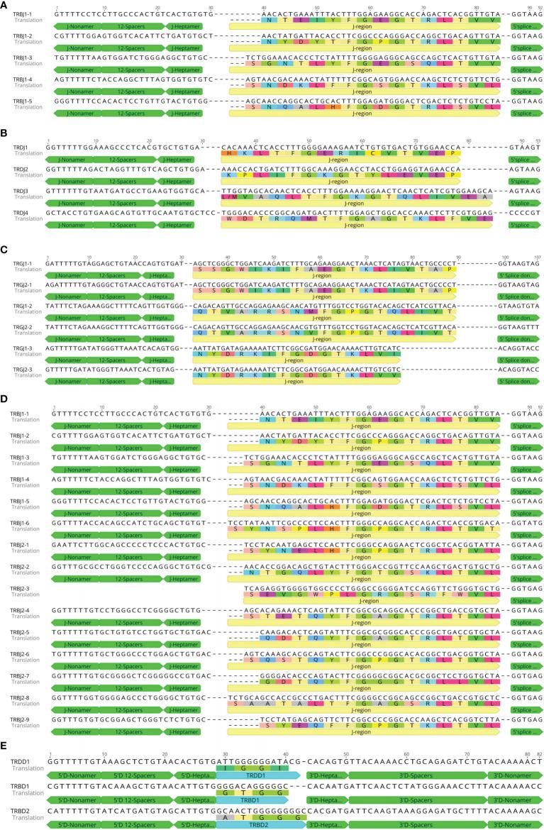 https://cdn.ncbi.nlm.nih.gov/pmc/blobs/a3c4/8514952/e54ae52bfdb1/fimmu-12-741408-g007.jpg