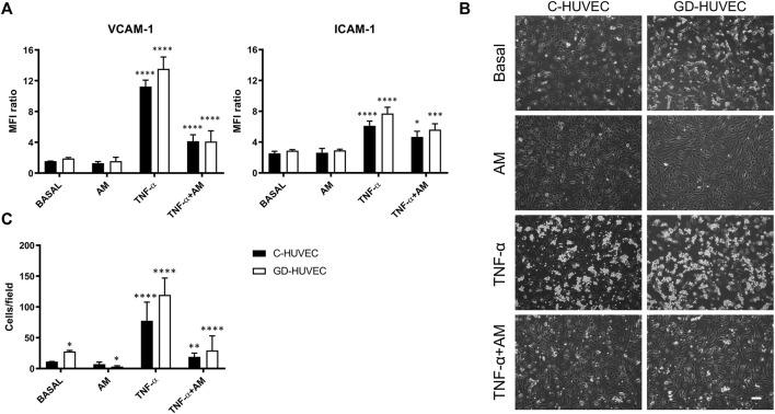https://cdn.ncbi.nlm.nih.gov/pmc/blobs/a3c4/9294233/e1f9d8d5b4d1/fbioe-10-854845-g002.jpg