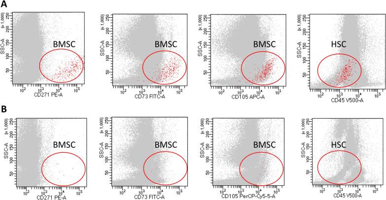 https://cdn.ncbi.nlm.nih.gov/pmc/blobs/a3c5/11616267/4b4afe710b6f/12967_2024_5924_Fig2_HTML.jpg