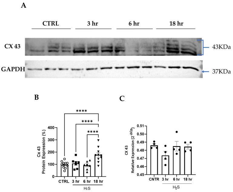 https://cdn.ncbi.nlm.nih.gov/pmc/blobs/a3c7/11504967/2d2bef56847c/antioxidants-13-01241-g003.jpg