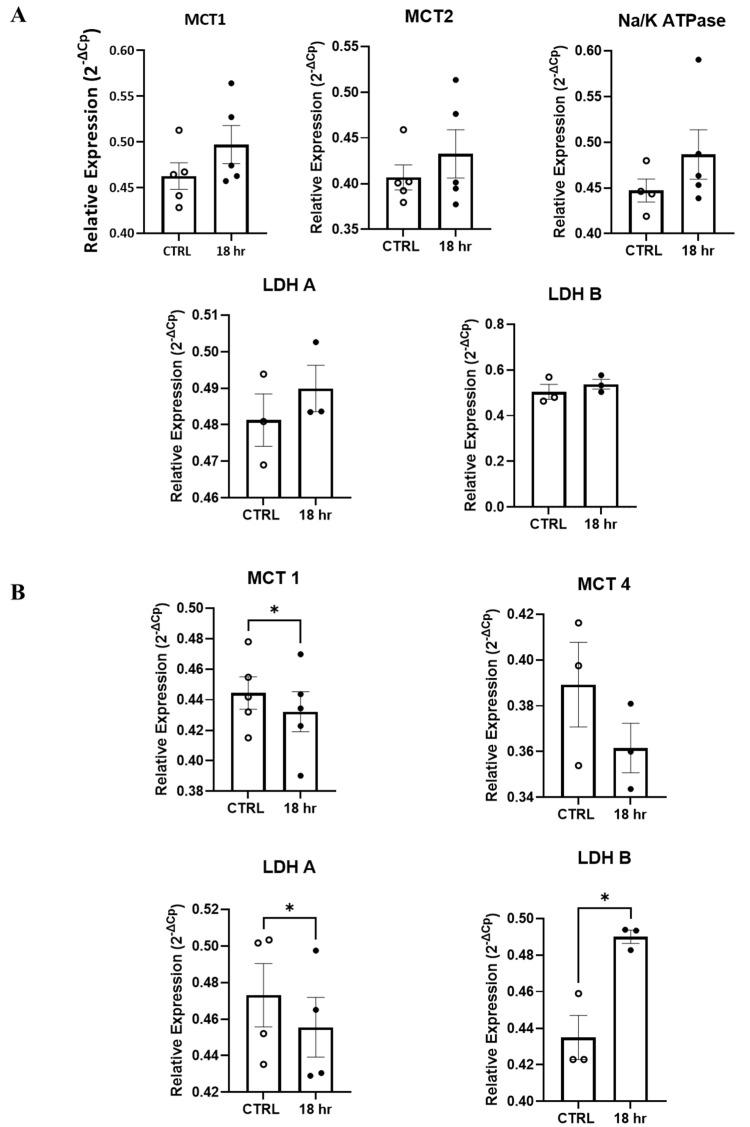 https://cdn.ncbi.nlm.nih.gov/pmc/blobs/a3c7/11504967/775e76810323/antioxidants-13-01241-g006.jpg