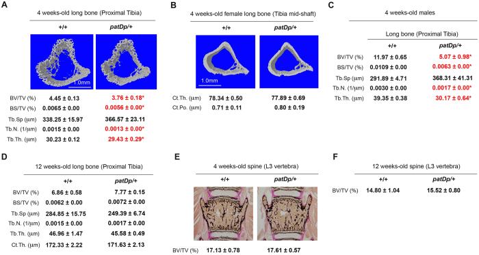 https://cdn.ncbi.nlm.nih.gov/pmc/blobs/a3c7/5575059/90bcd303e3b9/41598_2017_9921_Fig2_HTML.jpg