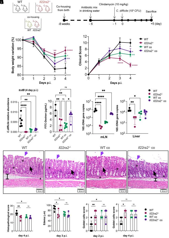 https://cdn.ncbi.nlm.nih.gov/pmc/blobs/a3c9/11087805/298e97628c3f/pnas.2321836121fig01.jpg