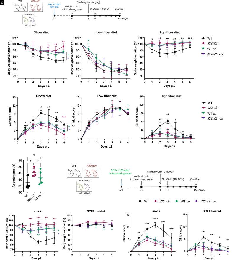 https://cdn.ncbi.nlm.nih.gov/pmc/blobs/a3c9/11087805/7ac79a979a7c/pnas.2321836121fig05.jpg