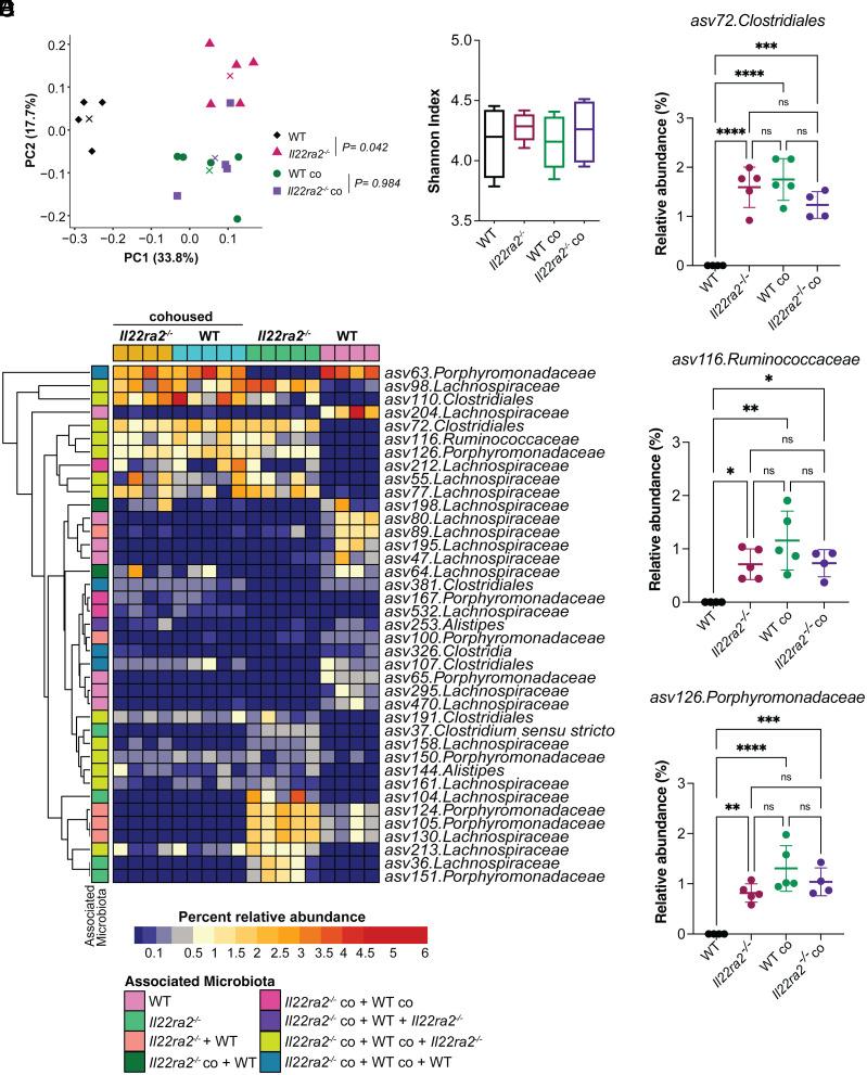 https://cdn.ncbi.nlm.nih.gov/pmc/blobs/a3c9/11087805/b64b0ed722af/pnas.2321836121fig04.jpg